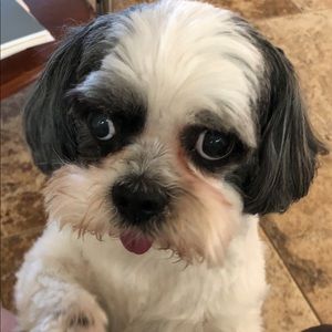 Meet your Posher, Patty